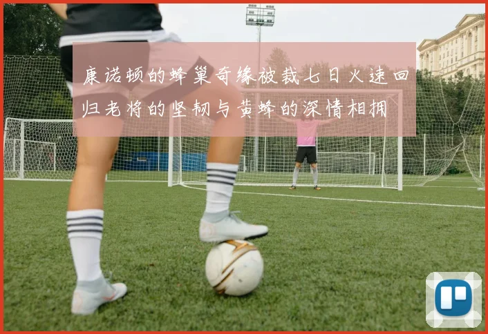 康诺顿的蜂巢奇缘被裁七日火速回归老将的坚韧与黄蜂的深情相拥